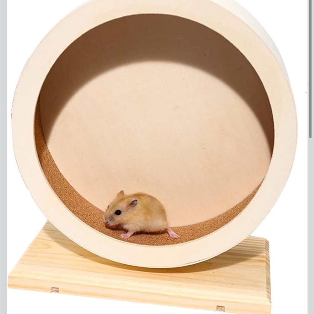 Antiai Hamster Wooden Silent Wheel, 9.8 Inch
Small Animal Exercise Wheel 847